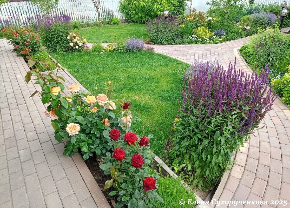 Цветочная клумба - Елена Сухорученкова