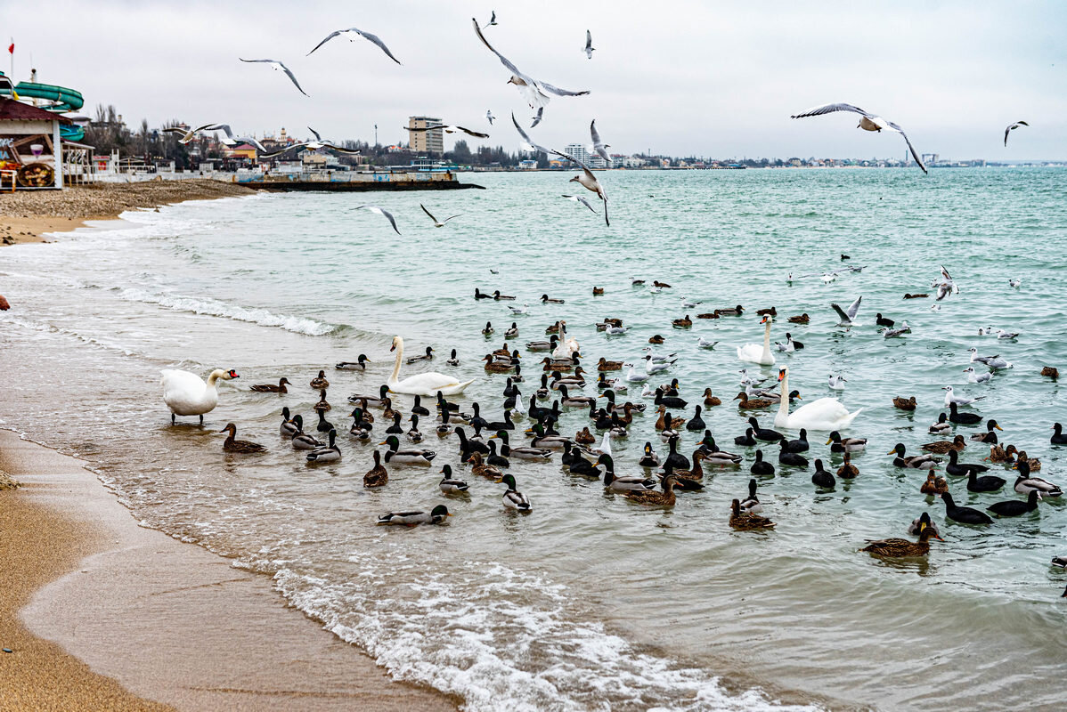 *** - Дмитрий Лупандин *** - Дмитрий Лупандин