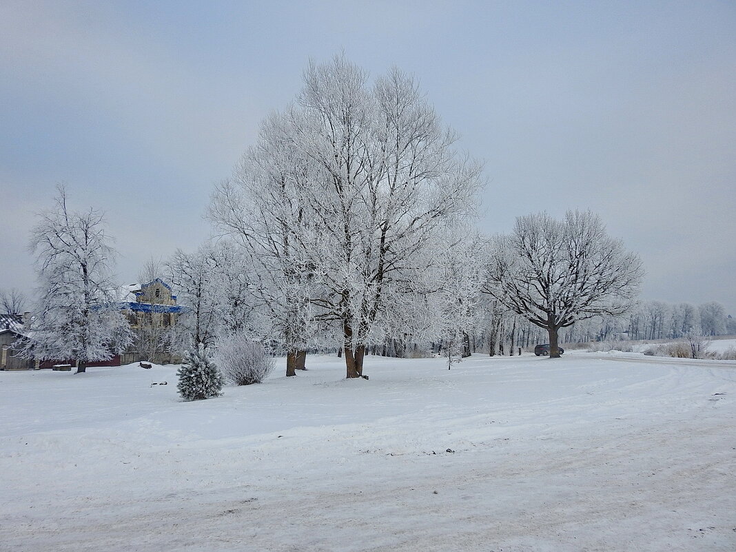 зимний день - ИННА ПОРОХОВА