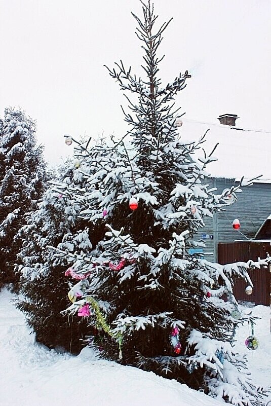 ** - Сергей Кочнев