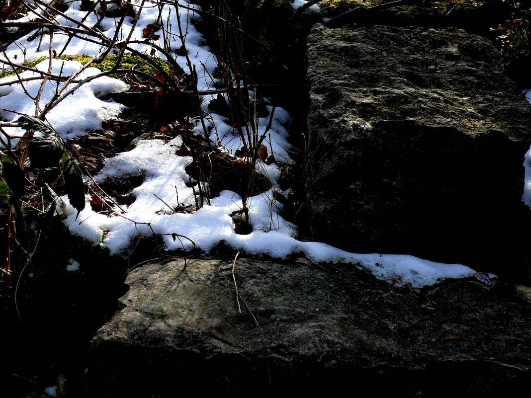 Южная зима - 9 - Алексей Кузнецов