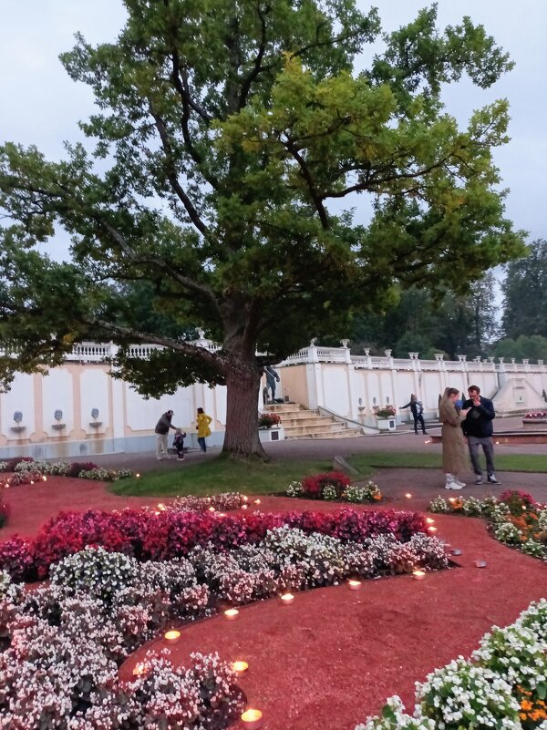 Парк К - Veera V Парк К - Veera V