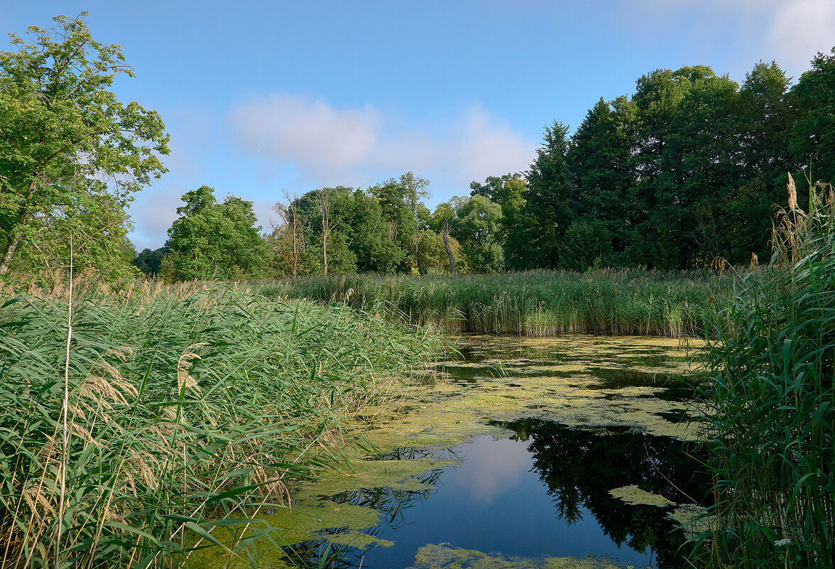 Лето, лето 2 - Genych Bartkus