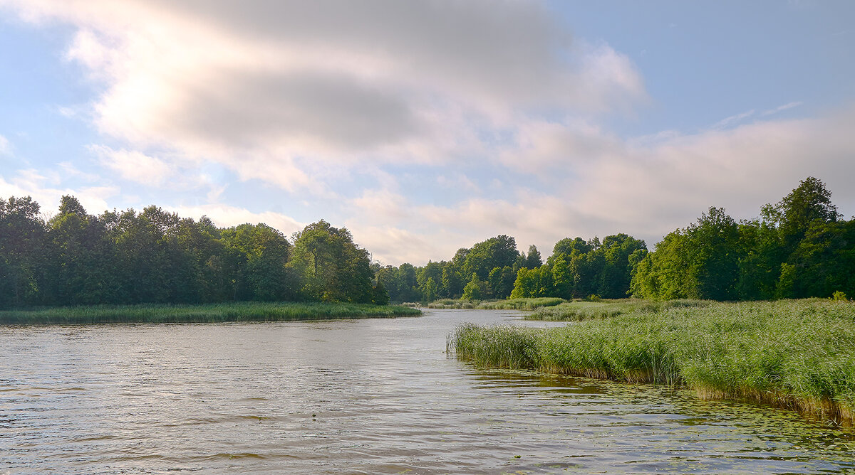 Лето, лето 3 - Genych Bartkus Лето, лето 3 - Genych Bartkus