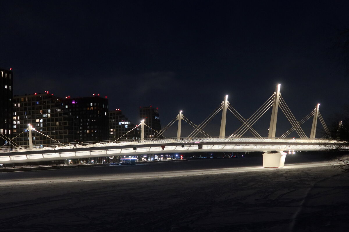 Велопешеходный мост - Дмитрий И_ Велопешеходный мост - Дмитрий И_
