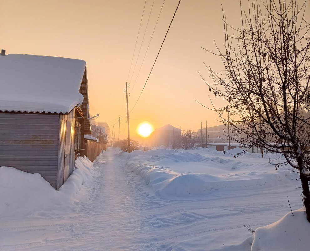 Морозное утро января - Любовь Сахарова