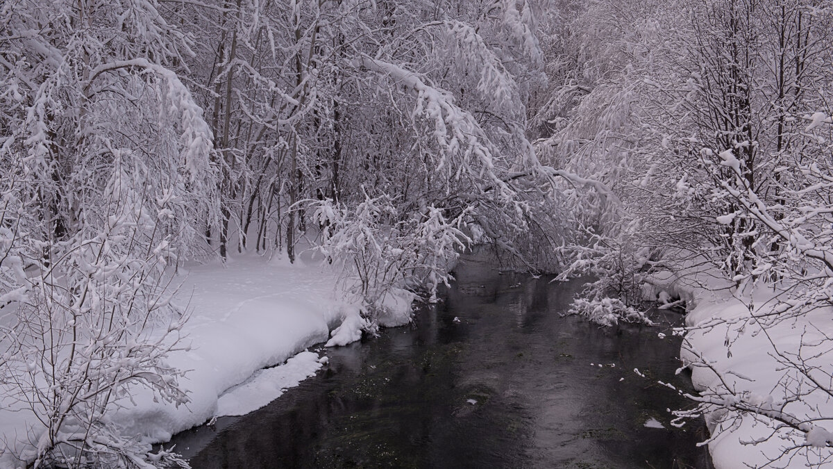 ... - Жора Житников ... - Жора Житников