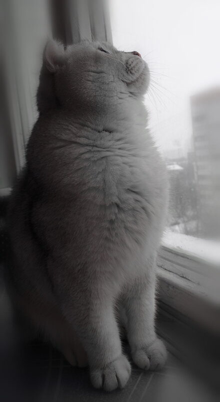 А снег идёт.... - Марина Леонидовна А снег идёт.... - Марина Леонидовна