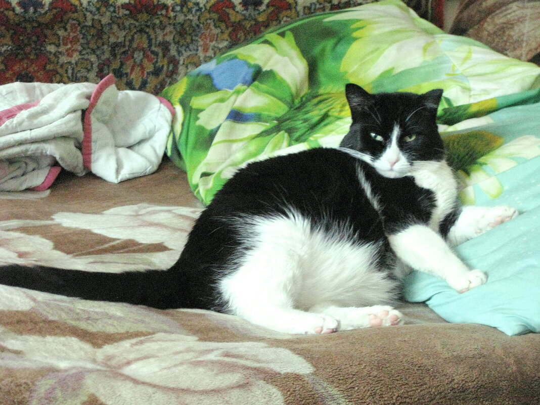 На отдыхе - Людмила Смородинская На отдыхе - Людмила Смородинская