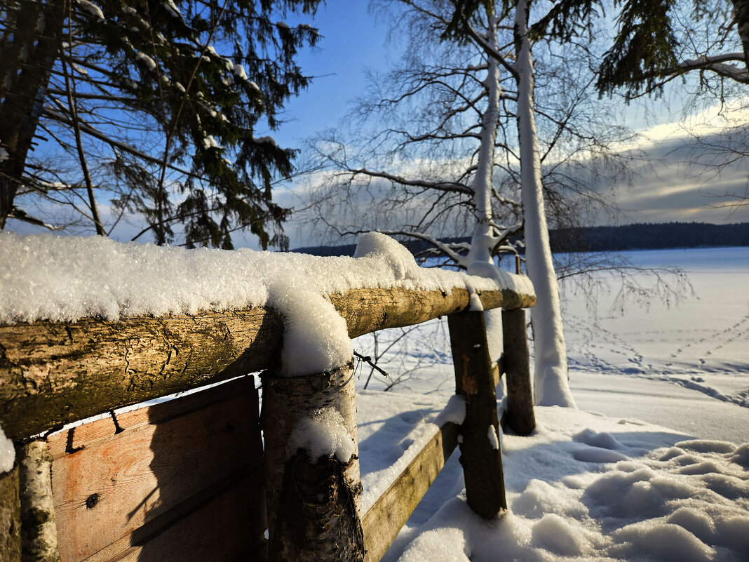 . - РИТА ЛЕВКОВА