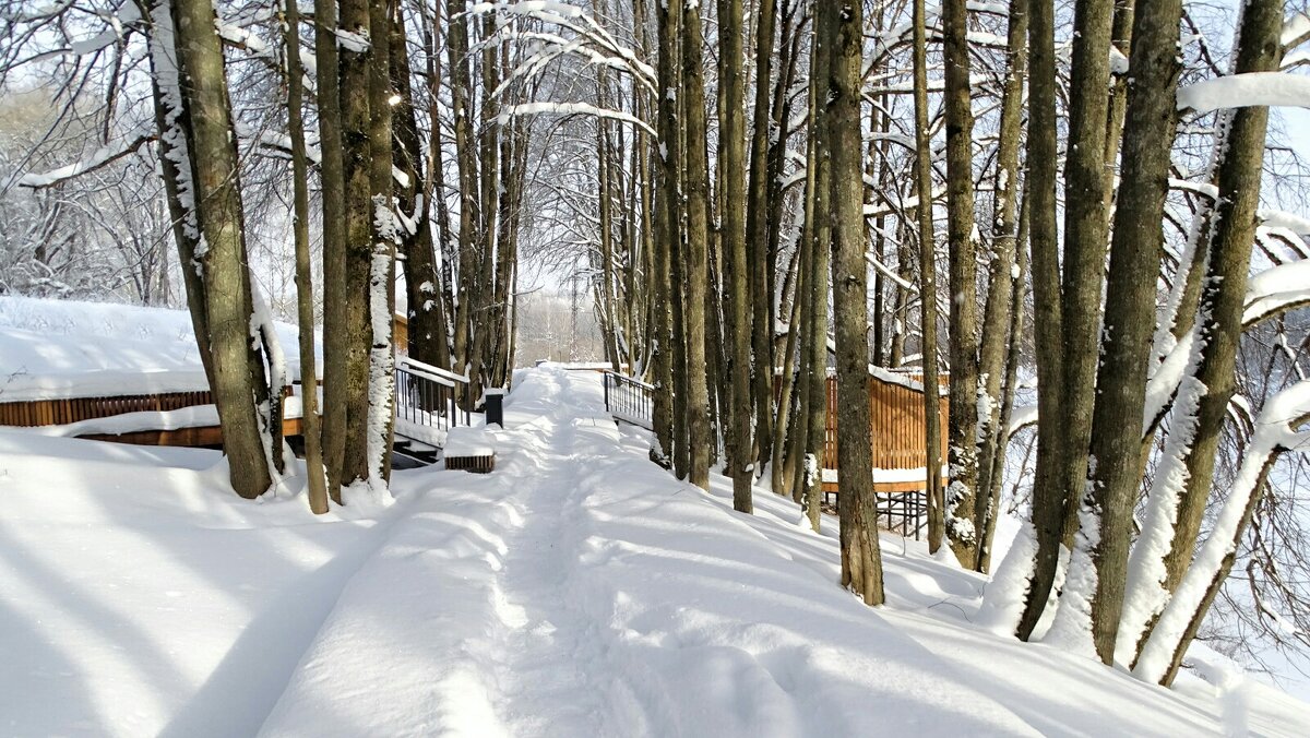 Засыпан снегом городской парк. - Милешкин Владимир Алексеевич Засыпан снегом городской парк. - Милешкин Владимир Алексеевич