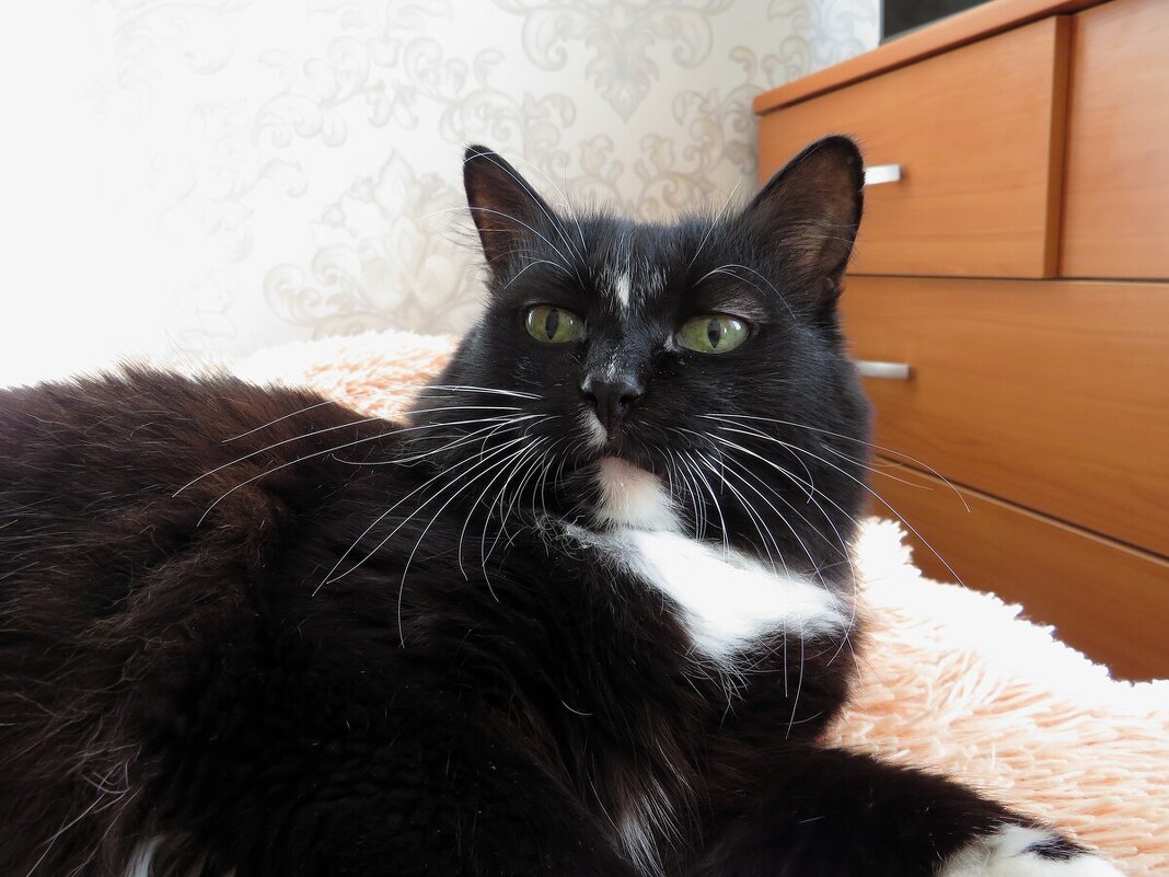 Барышня - Лариса С. Барышня - Лариса С.