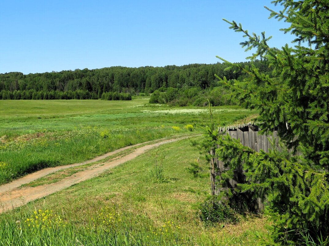 Июнь - Лариса С. Июнь - Лариса С.