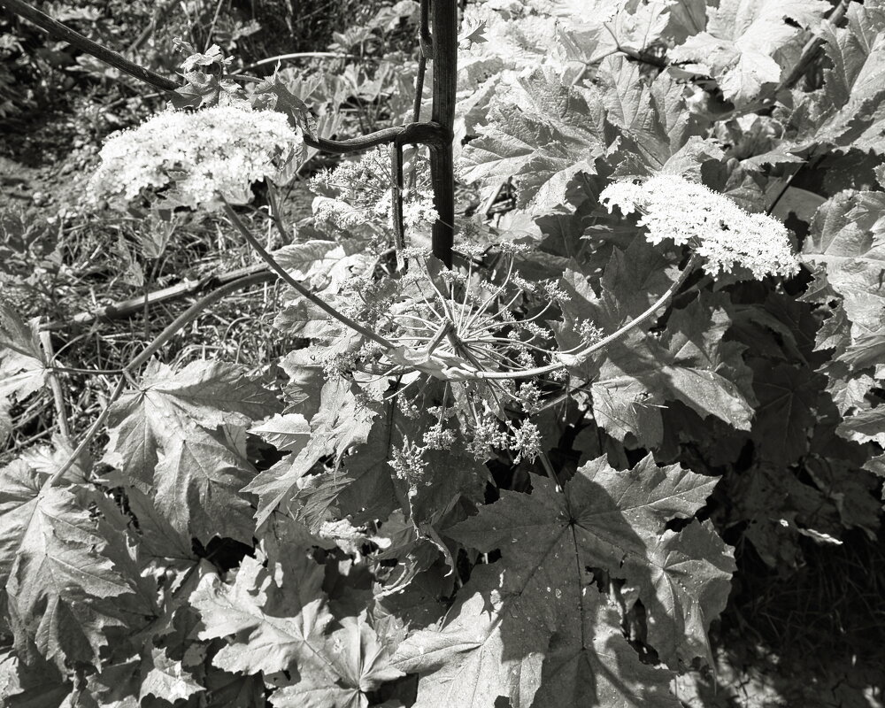 Фотография - Денис Безногов