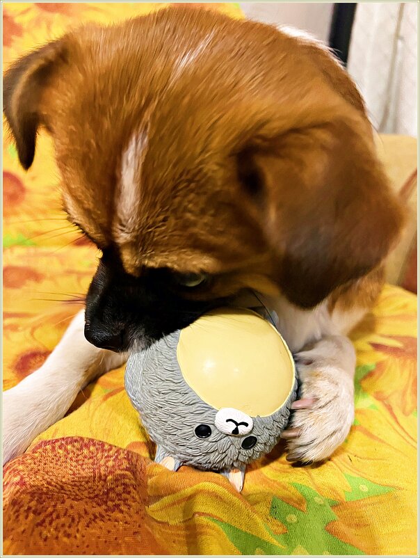 Яшенька. - Валерия Комова