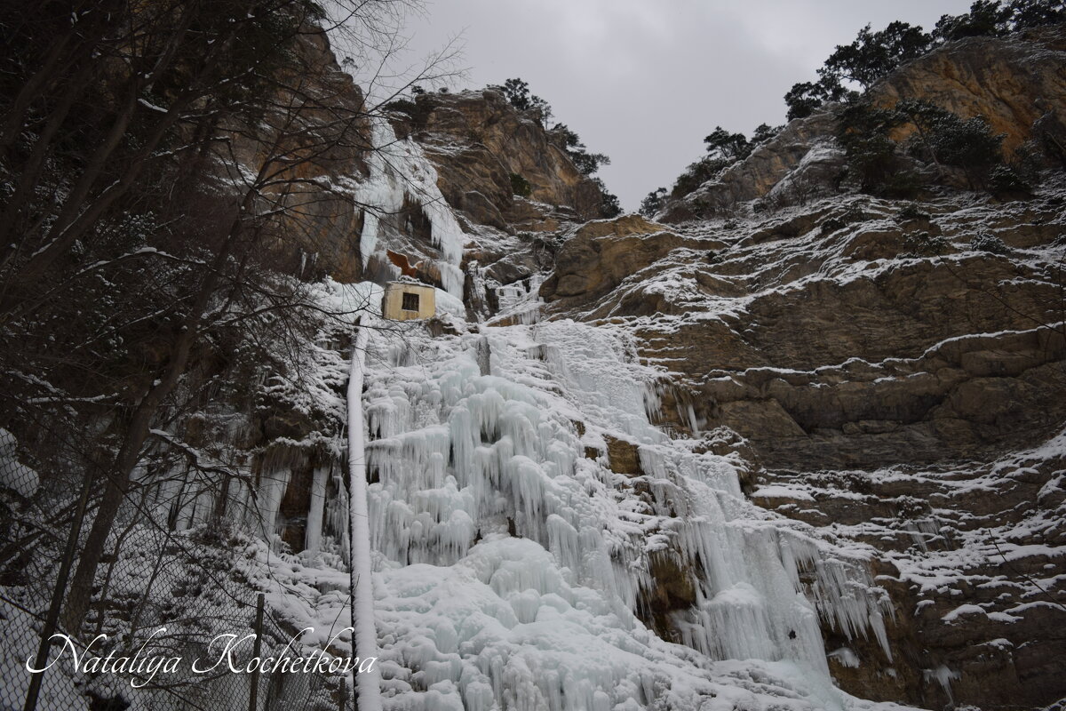 Природа Крыма - Amazing Cosmea Природа Крыма - Amazing Cosmea