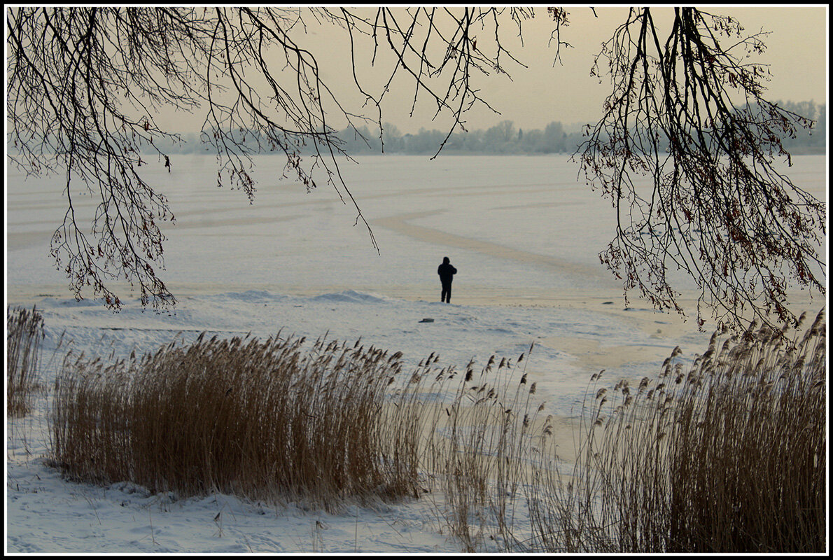 *** - Aleksandr Gal *** - Aleksandr Gal