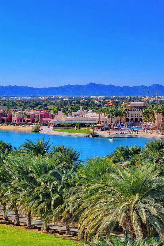 الجونة - Aлёна V