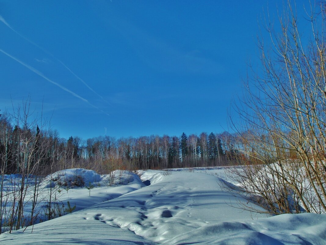 дорогу замело снегом - Владимир дорогу замело снегом - Владимир