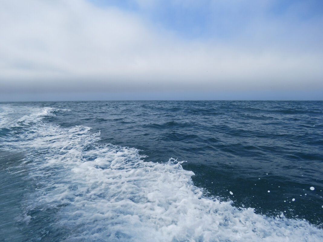 все оттенки синего - ИРЭН@ .