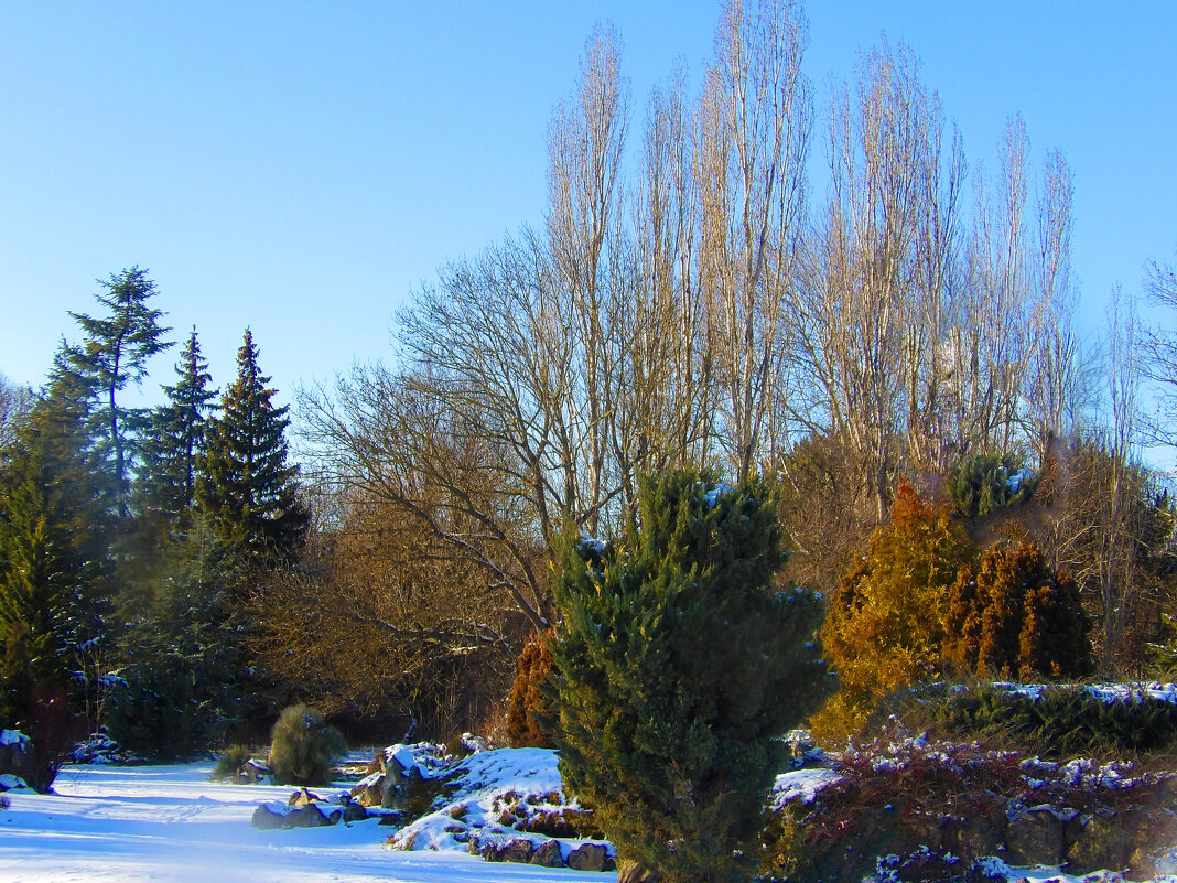 Пейзажи  ботанического сада  Н В Багрова - Валентин Семчишин