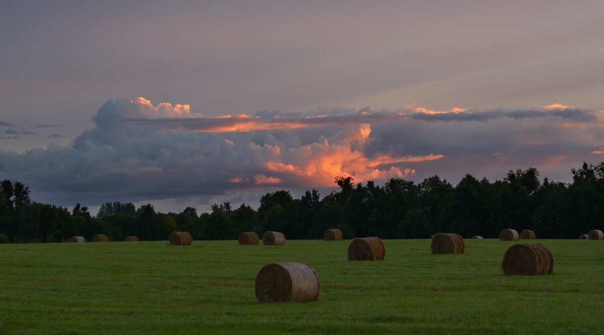 Утро в поле. - Константин 