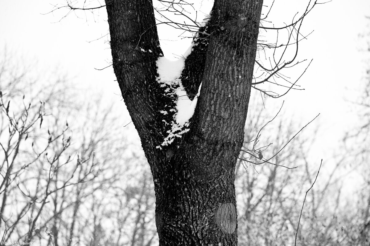 Серия "До Нового 2027 года осталось..." - Михаил Серия "До Нового 2027 года осталось..." - Михаил