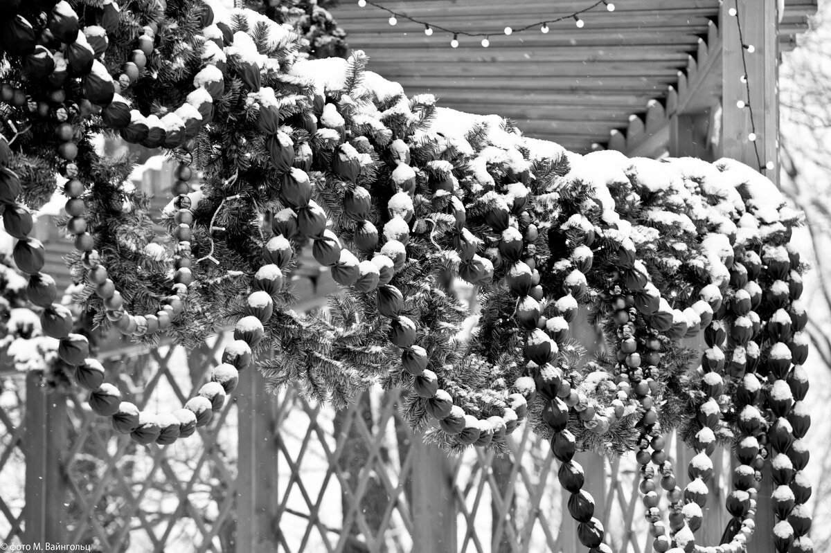 Серия "До Нового 2027 года осталось..." - Михаил Серия "До Нового 2027 года осталось..." - Михаил