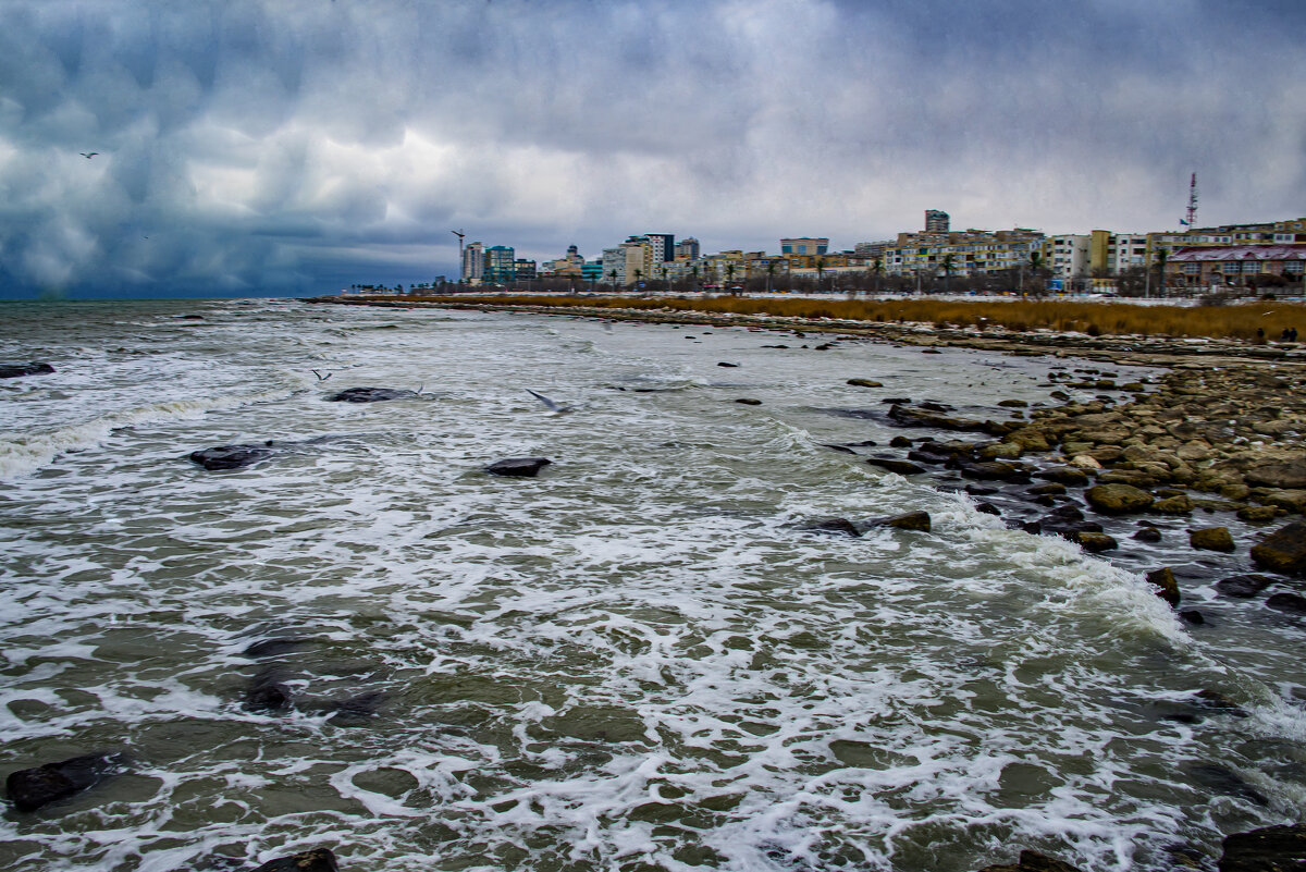 Берег - Анатолий Чикчирный