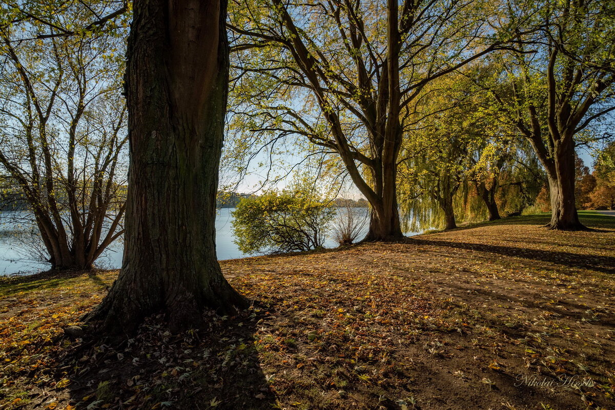 Вокруг озера... - Николай Гирш