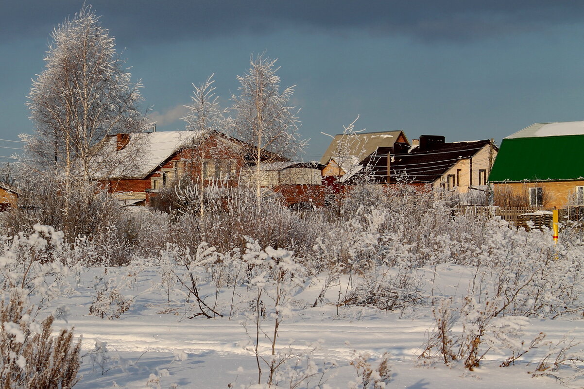 Зима - tamara kremleva