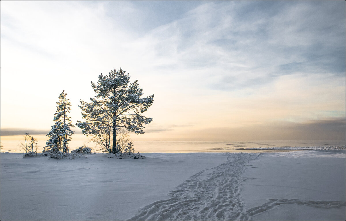 *  *  * - Андрей Бобин