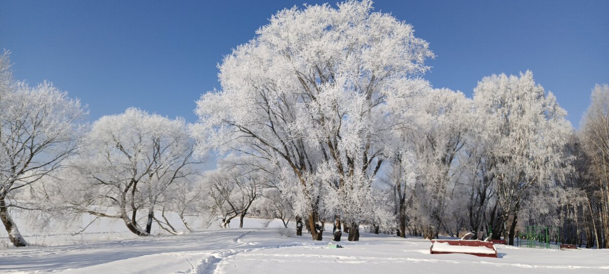 Зимнее царство - Игорь Сычёв