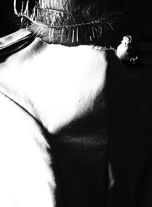 * - Василий Палий