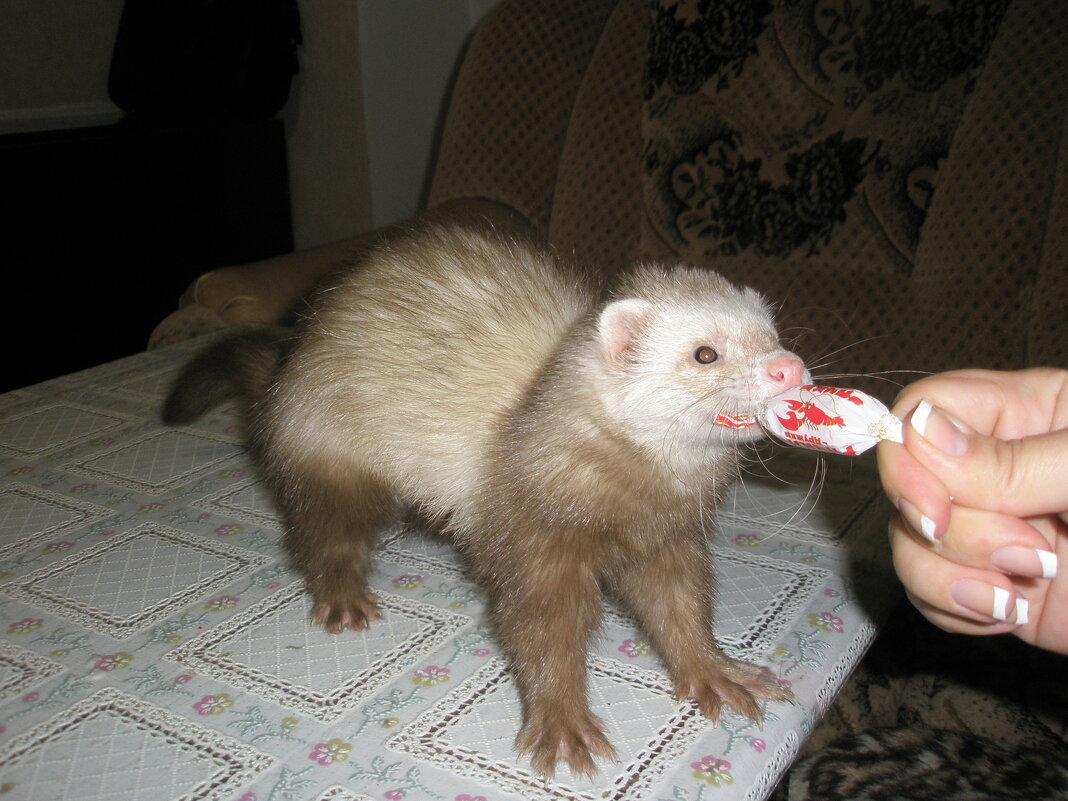 Отдайте пожалуйста, моя - Римма Волченко