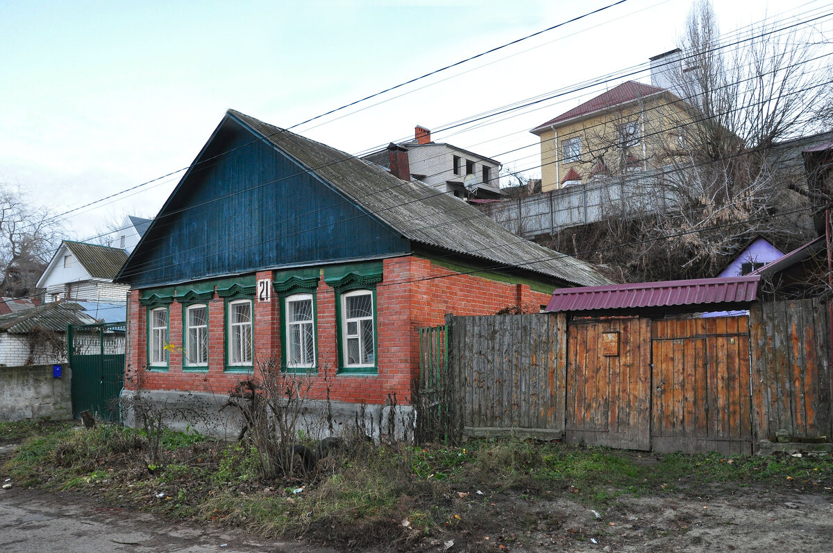 Зима не сразу пришла (декабрь) - Татьяна Машошина