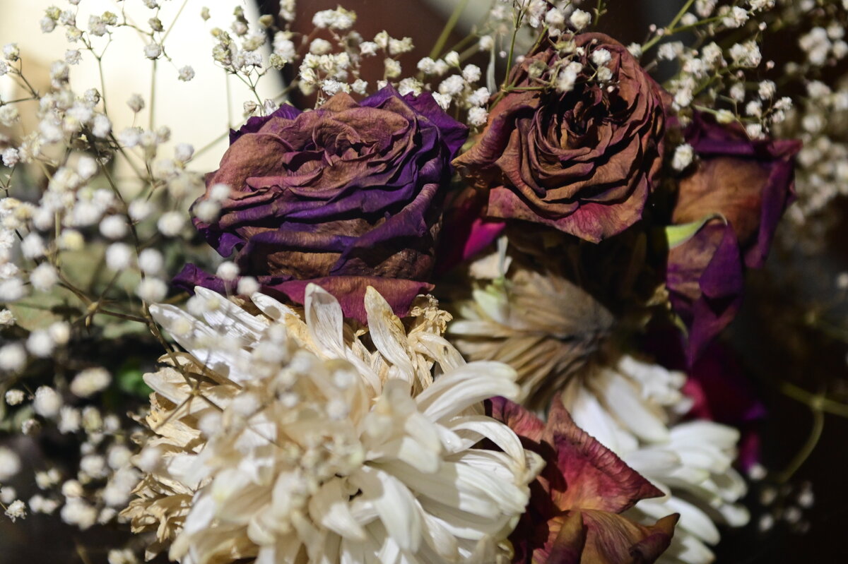 / - Константин Сафронов