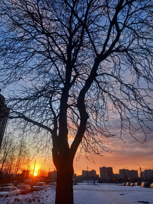 Закат - Сапсан 