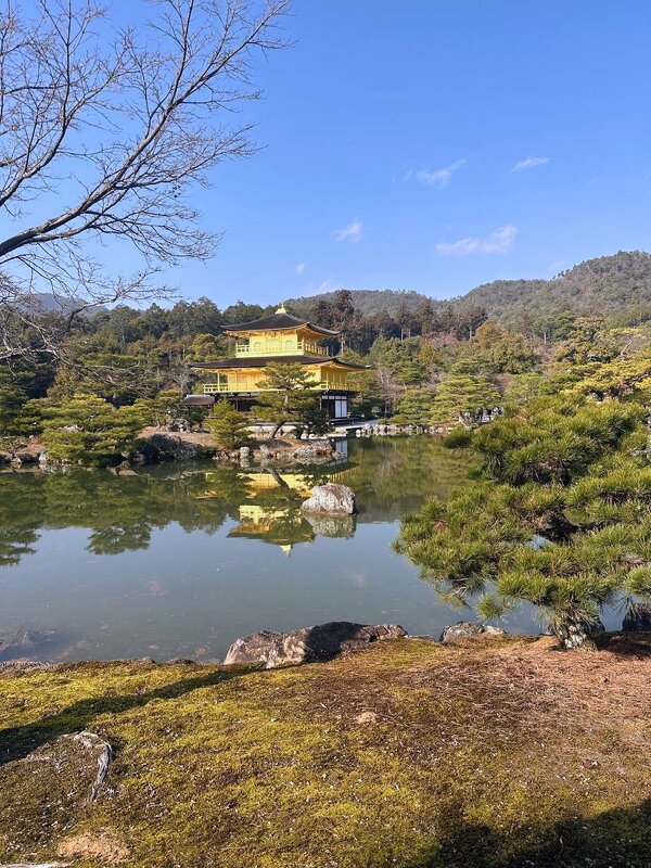 Озерко - Георгиевич 