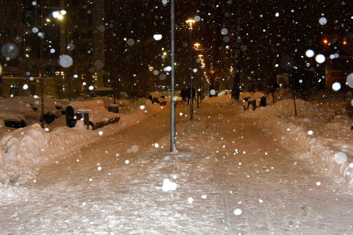 Москва. Начало снегопада 8 января. - Наташа *****