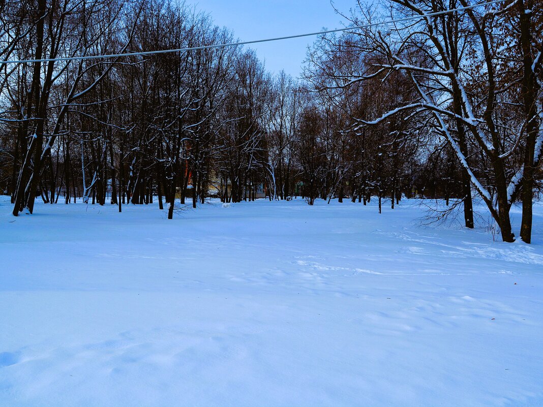 Чебоксары. Зимняя лужайка сквера им. В. Чапаева. - Пётр Чернега