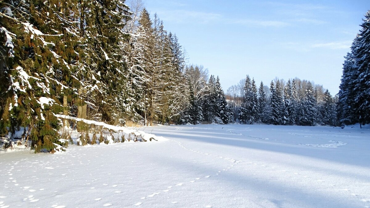 Зимний пейзаж - Милешкин Владимир Алексеевич 