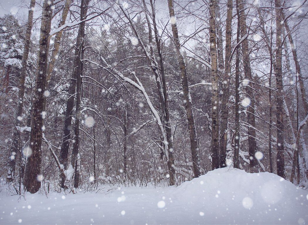 Зимняя картинка - Alisia La DEMA