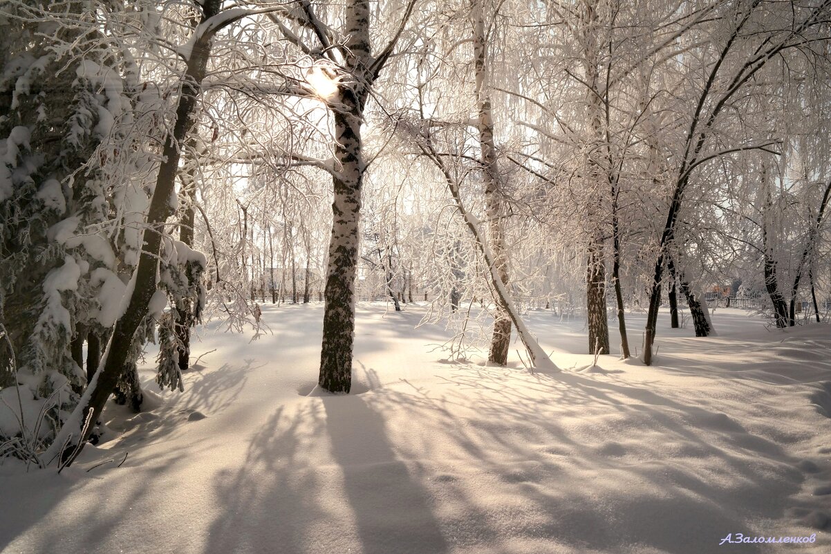 Свет января... - Андрей Заломленков