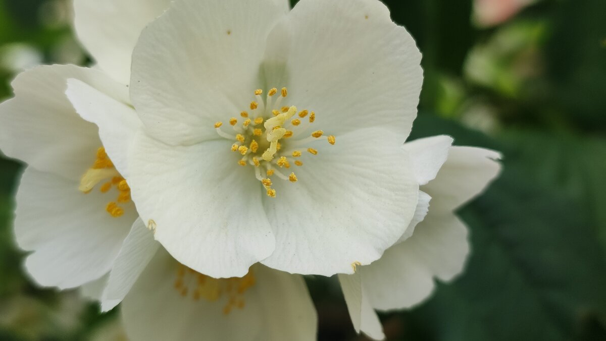 ,,, - Сергей Тимоновский