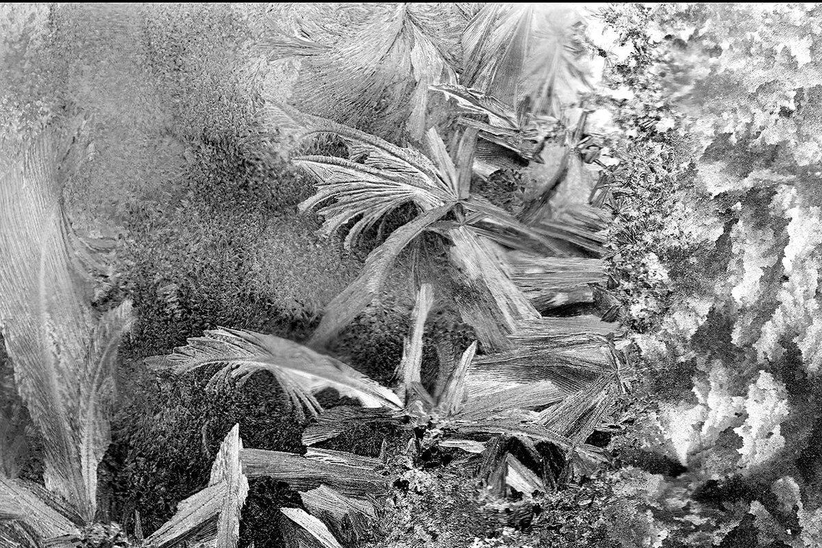 М3 - Алексей Смирнов