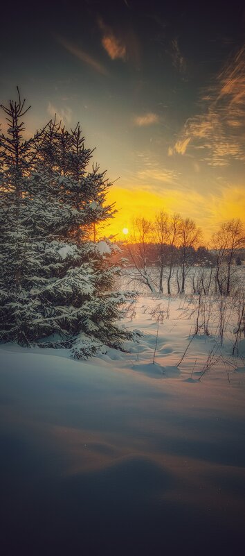 Ничего, что здесь метели, не беда, что холода... - Леонид Абросимов