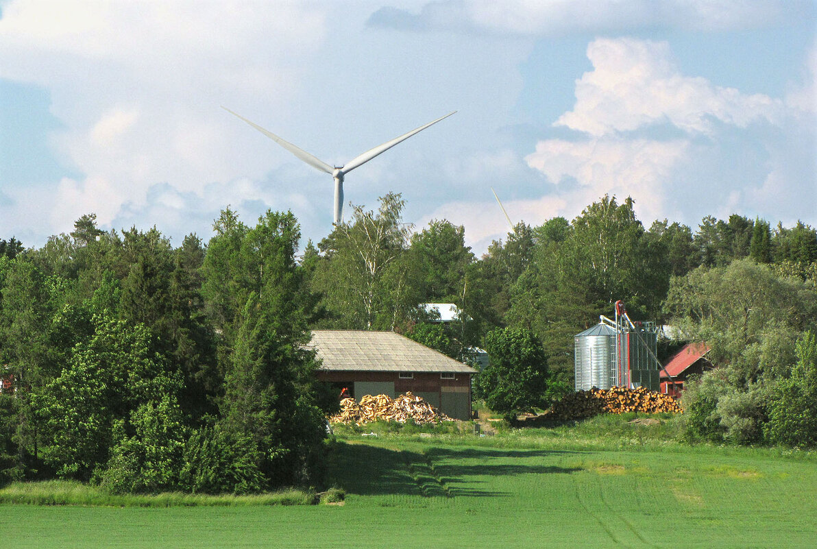 Деревня Мярюнумми - Александр Ильчевский 