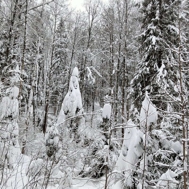 перекур - Владимир 