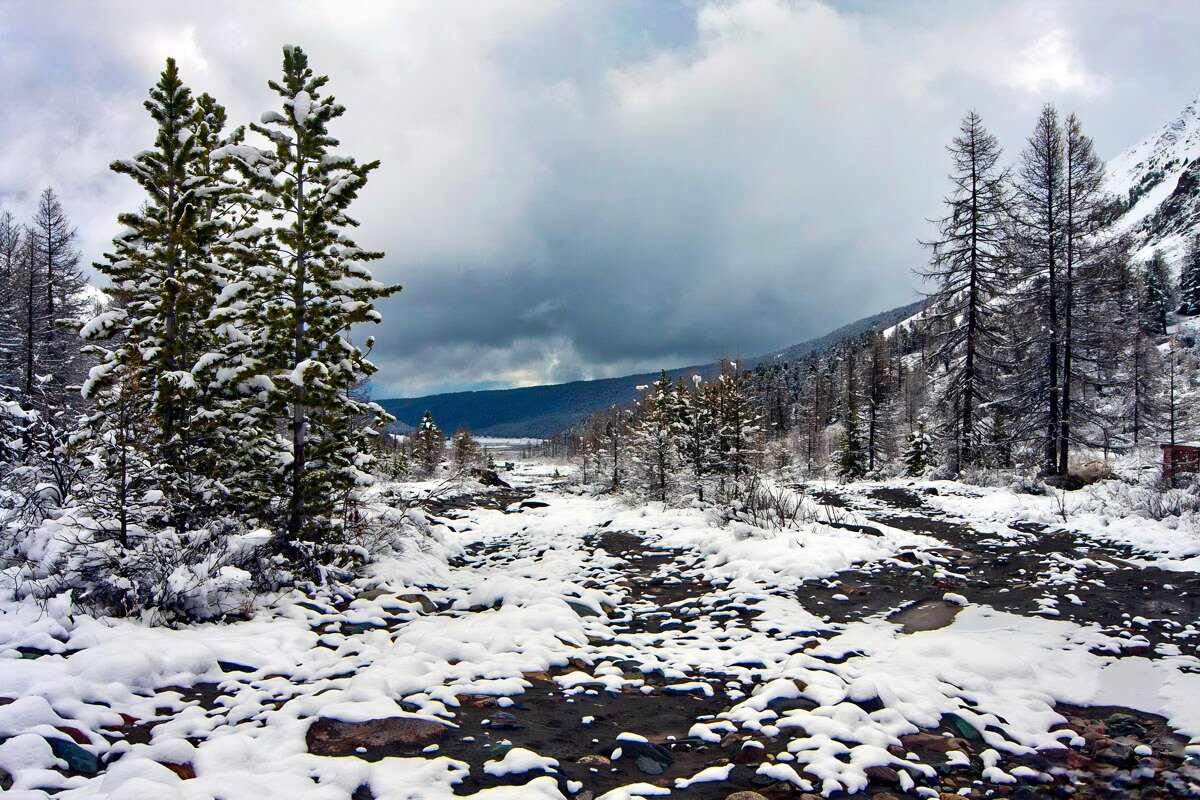 Дорога - Виктор Фоменко
